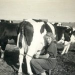 Jelle Twijnstra n